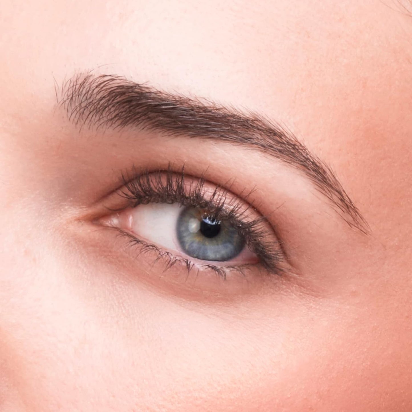 HALEYS Lid Eyeshadow Brush, Medium Flat Tapered Brush, Easy Blending and Shading for Building Eyeshadow Color, High-end Synthetic Bristles, Multi-tasking, for Cream and Powder Makeup, Vegan + CF