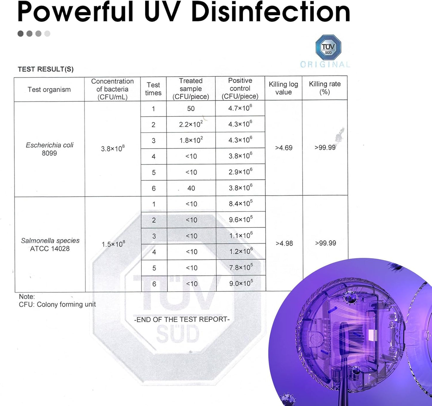 iHave Toothbrush Sanitizer – Wall-Mounted UV Toothbrush Holders for Bathrooms, Stylish Bathroom Accessories and Bathroom Decor for Home & RV, Travel Essentials, Cool Gadgets (White)