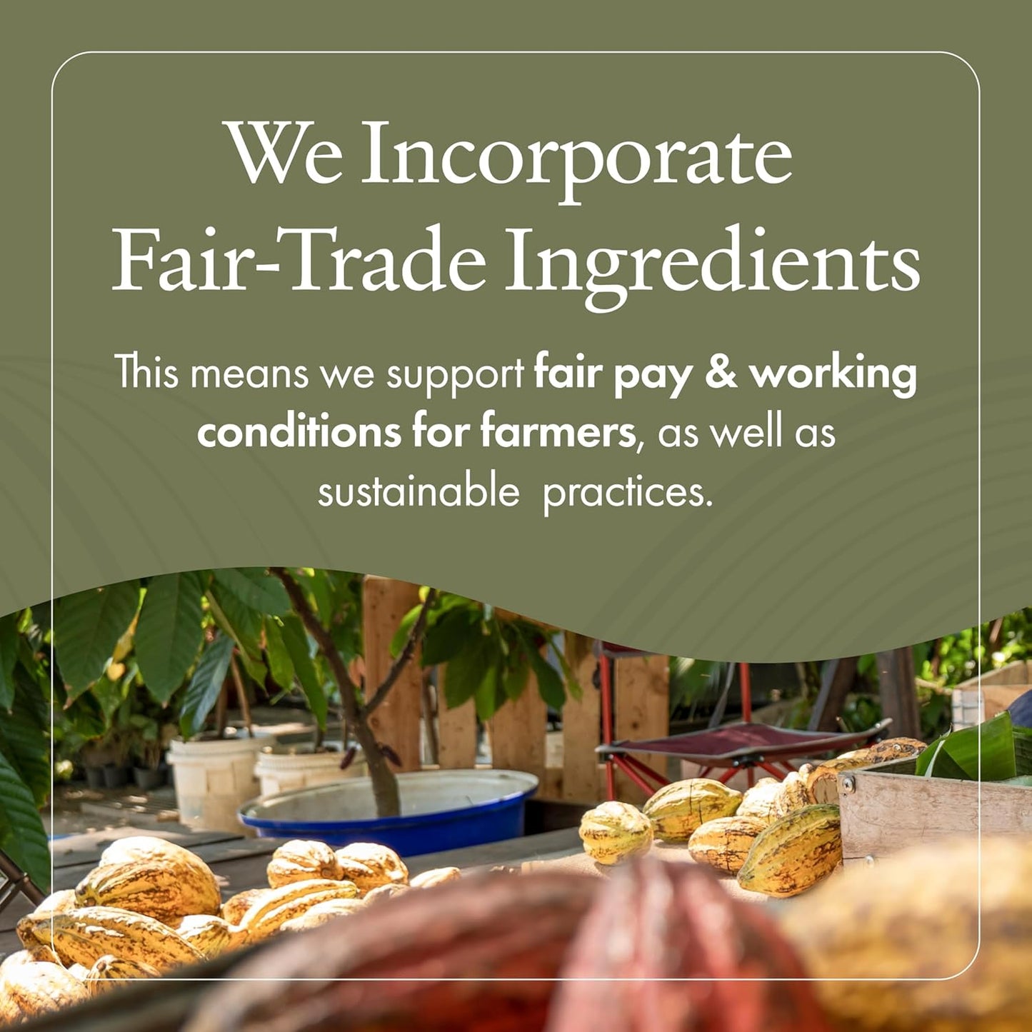 emerginC Scientific Organics Kombucha Cleanser - Nutrient Powerhouse Face Wash with Aloe Vera + Plant Stem Cells to Help Visibly Improve Skin Tone + Texture (4 oz, 120 ml)