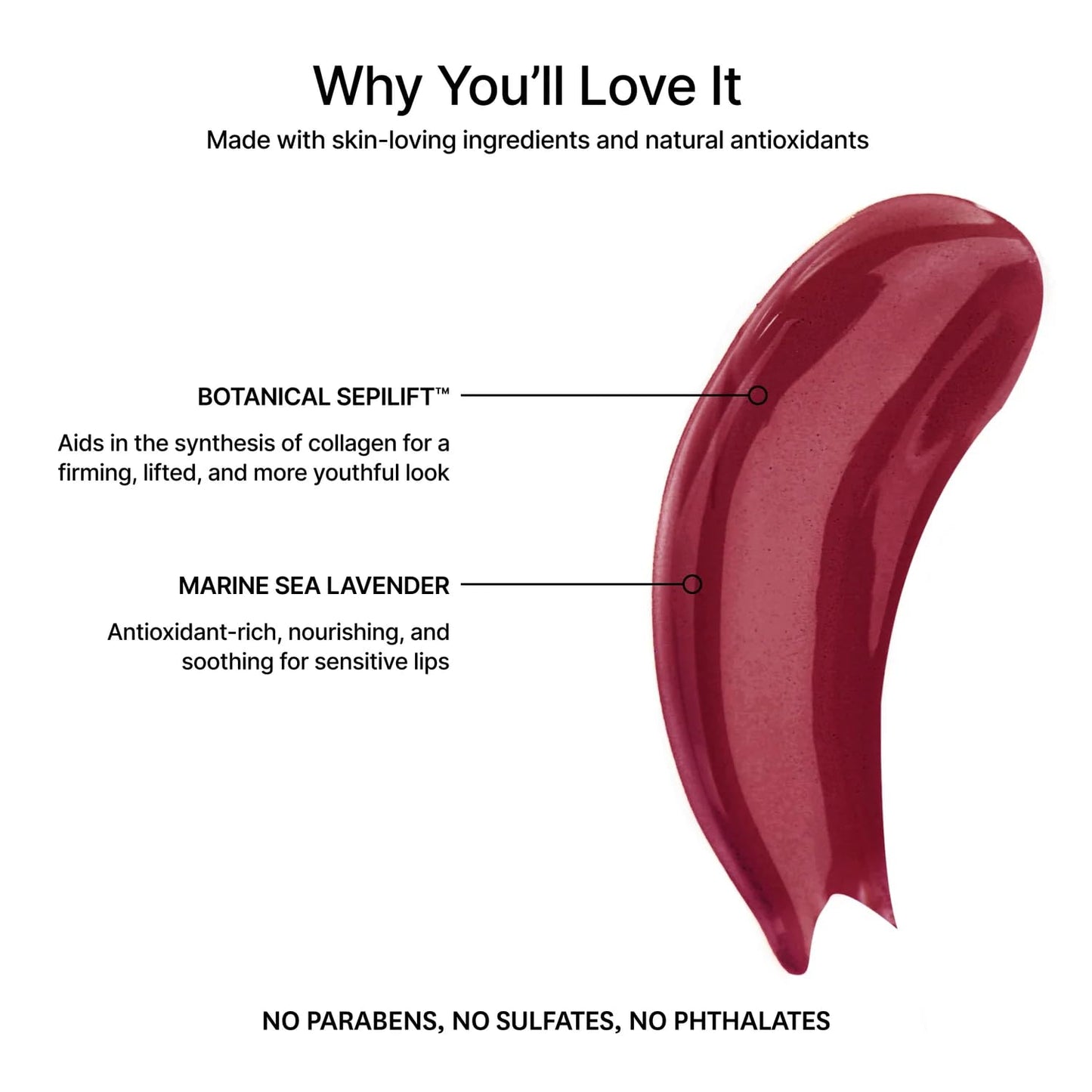 Jillian Dempsey Lip Gloss: Enhance, Hydrate & Smooth Lips with Firming & Plumping Benefits, Vegan, 4ml | Lavish Berry