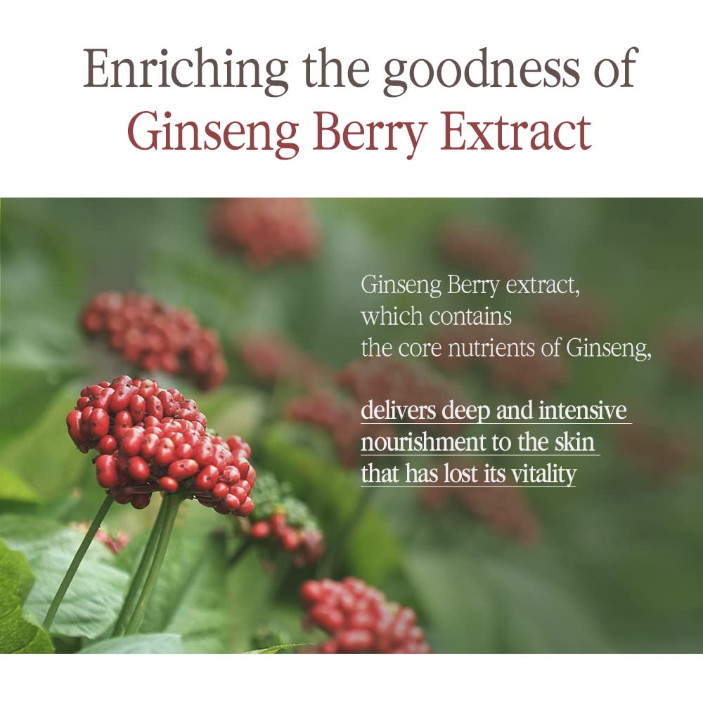 Pyunkang Yul PKY Black Tea Boosting Serum for Anti-aging, Condensed Nutrition for Fine Line Care with Kombucha, Ginseng Fruit Extract, Zero-Irritation, Korean Skincare (1.52 Fl. Oz, 45ml)