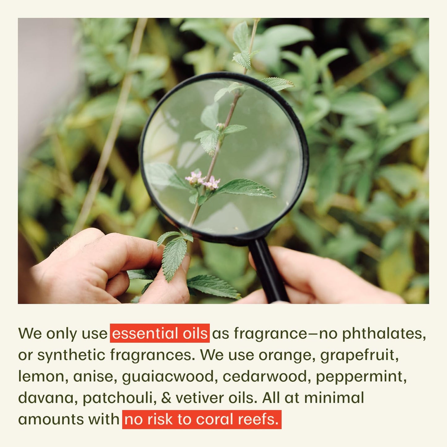 Thrive Natural Care Reef Safe Sunscreen SPF50 - Hawaii 104 Reef Act Compliant - Mineral Sunscreen Non-Nano Zinc Oxide - Vegan, (5.8 Oz (Pack of 1))