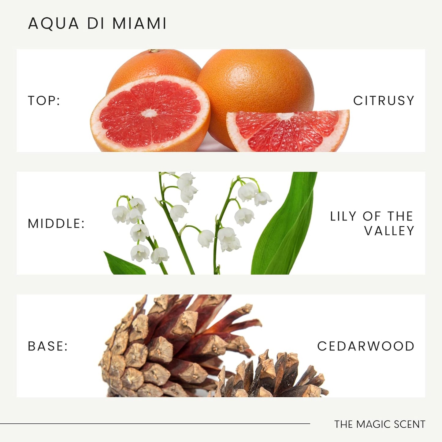 Aqua di Miami Diffuser Oil - Hotel & Home Luxury Scents - Diffuser Oil Scents for Home Designed for Use in All Diffusers - 16.9 fl oz, 500 mL