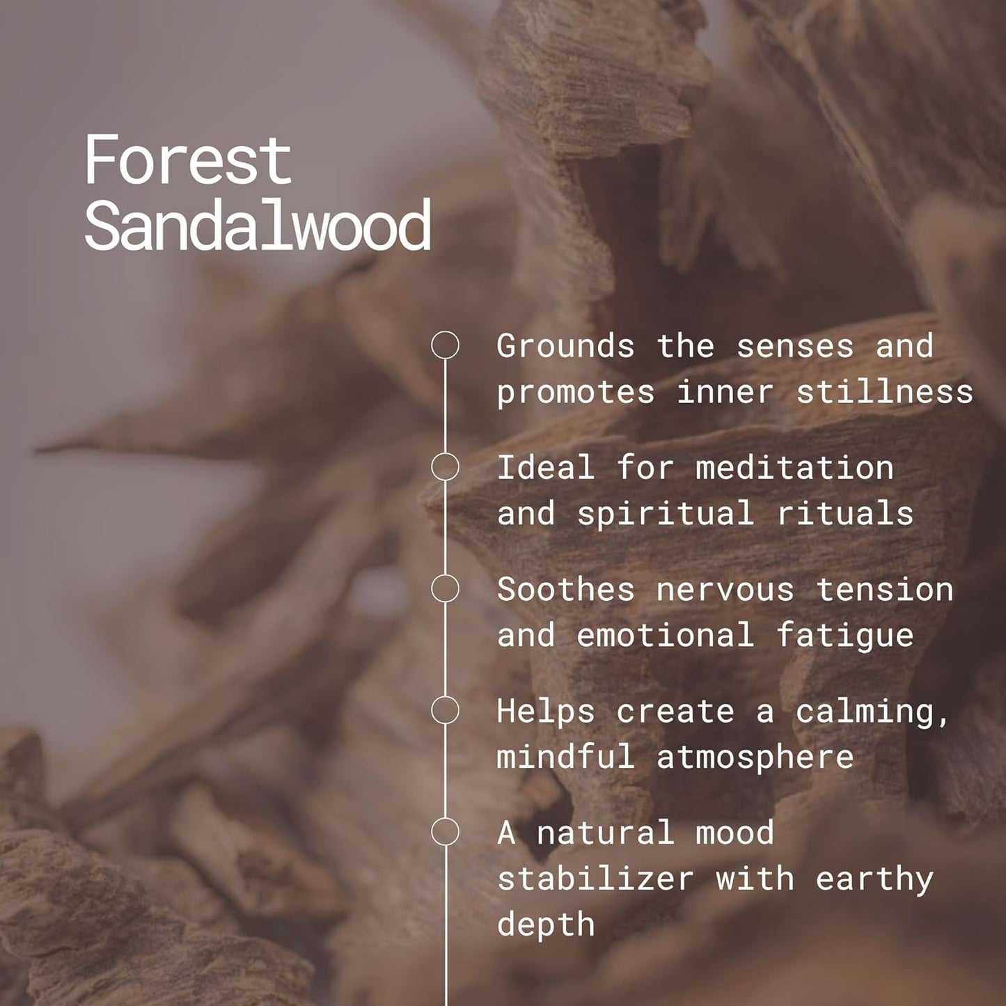 APPU'S Gandhadagudi Forest Sandalwood Incense Sticks – 100g | Handmade, Toxin-Free, Long-Lasting Fragrance | Natural Resin Aroma for Meditation, Yoga & Home Use