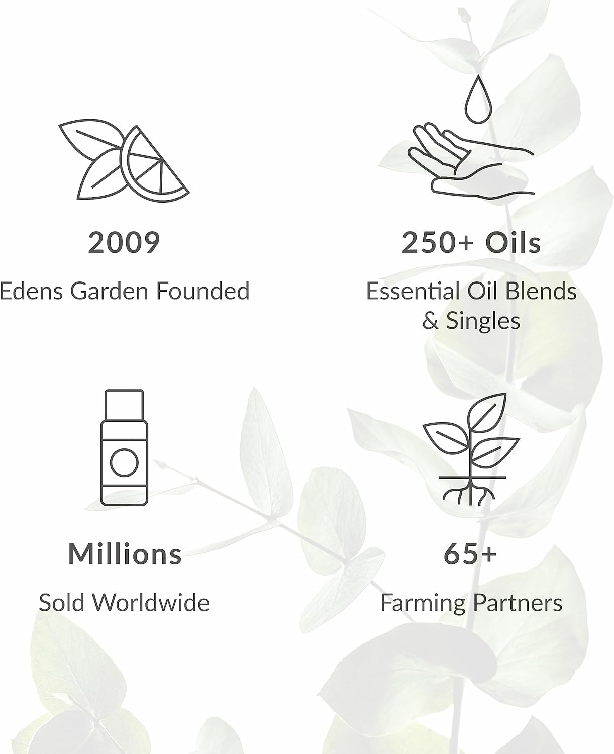 Edens Garden Best Sleep Ever Essential Oil Roll-On Blend- 100% Pure Premium Grade, Natural, Therapeutic, Aromatherapy, Kid & Skin Safe, The Best for Comfort, Wellness Pre-Diluted 10 ml (.33 fl oz)