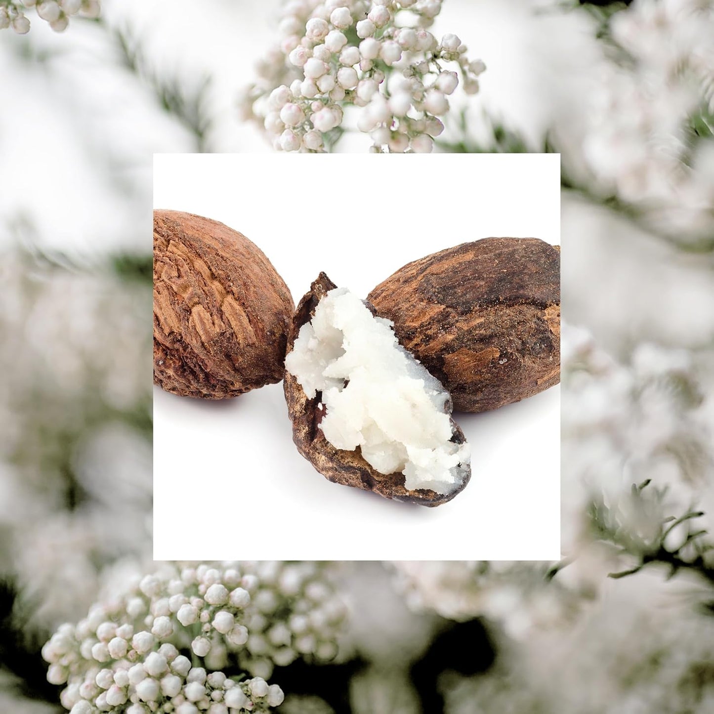 RAW SUGAR Simply Body Wash - shea + Rice Flower, Moisturizing & Soothing Bath & Shower Gel, Sulfate-Free, Paraben-Free & Vegan (25 Fl Oz, Pack of 1)