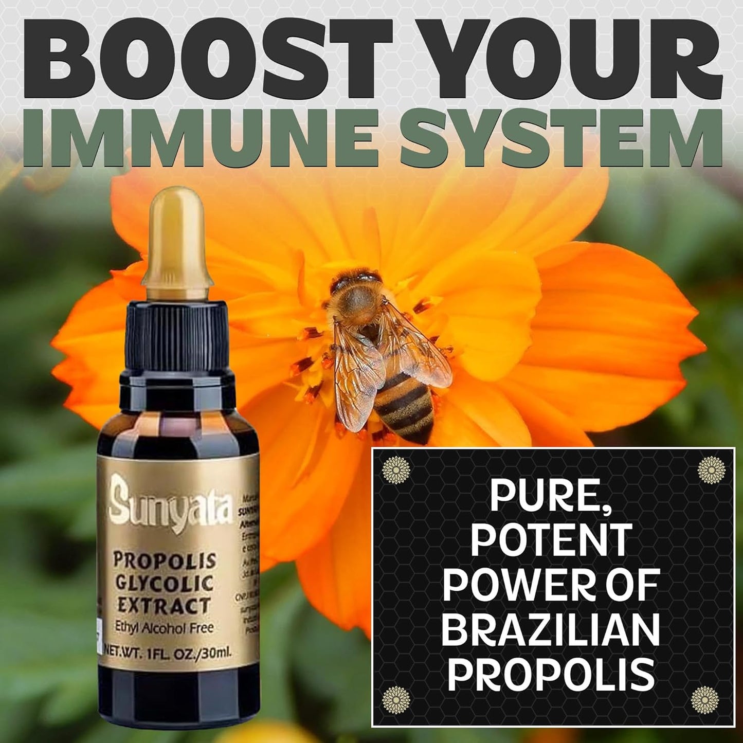 Brazil Brazillian Green Bee Propolis Liquid Extract Sunyata No Alcohol 30ML(1 Pack)