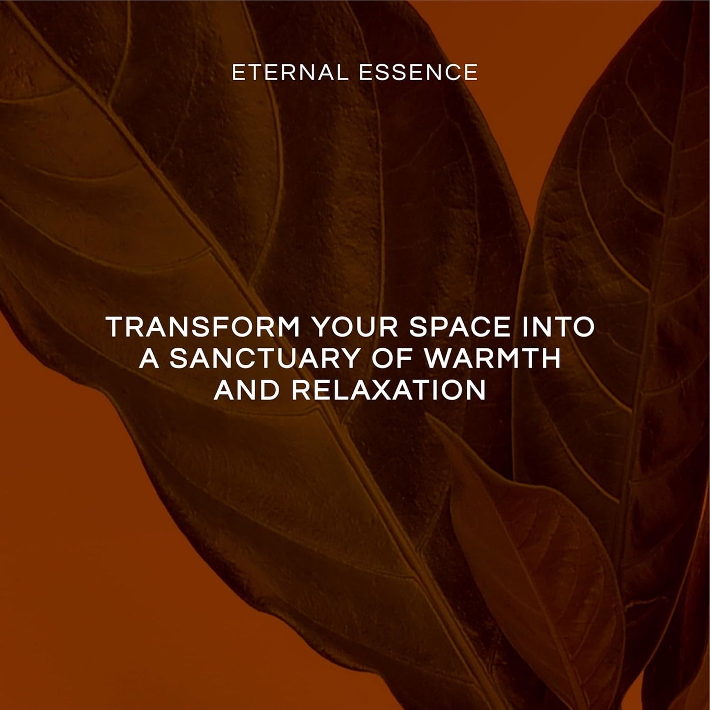 Eternal Essence Oils Housekeeping Set of 6 Premium Fragrance Oils - Includes Clean Cotton, Lemon Blossom, Lemon Grass, Sweet Pea, Ocean Breeze and Mountain Rain Scented Oils - 10ML