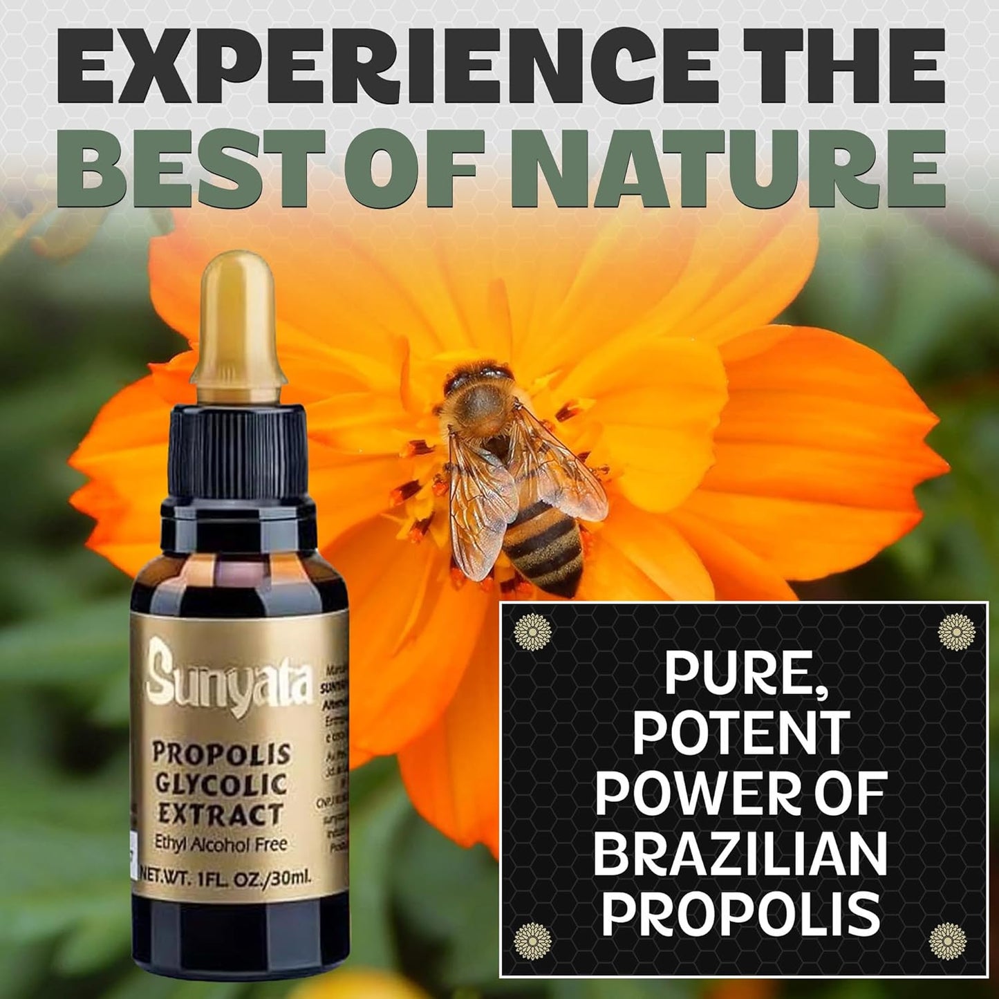 Sunyata Brazilian Green Bee Propolis Liquid Extract – No Alcohol, Natural Immune Support & Antioxidant, 30ML (3 Pack)