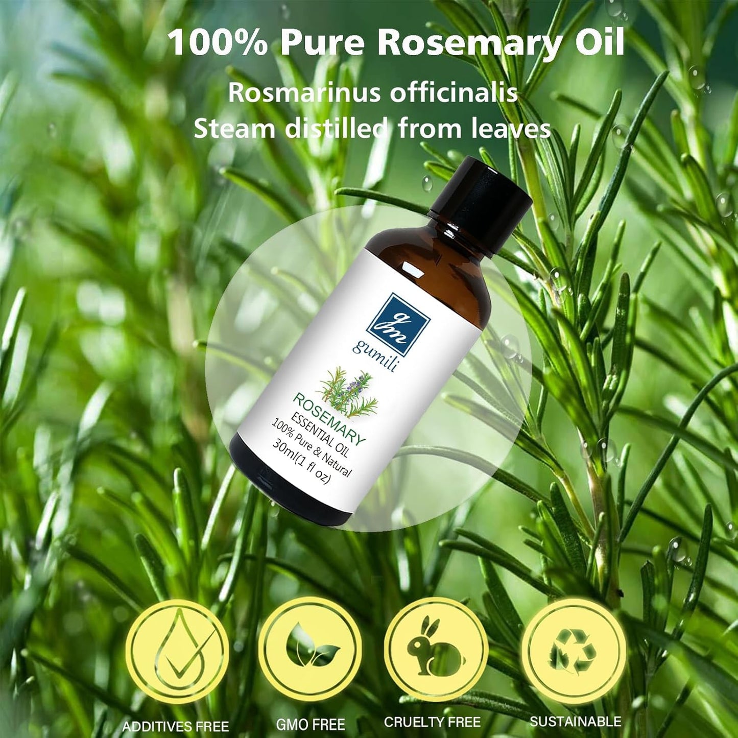 Rosemary Essential Oil, 30ml - Pure, Undiluted Rosemary Oil for Aromatherapy