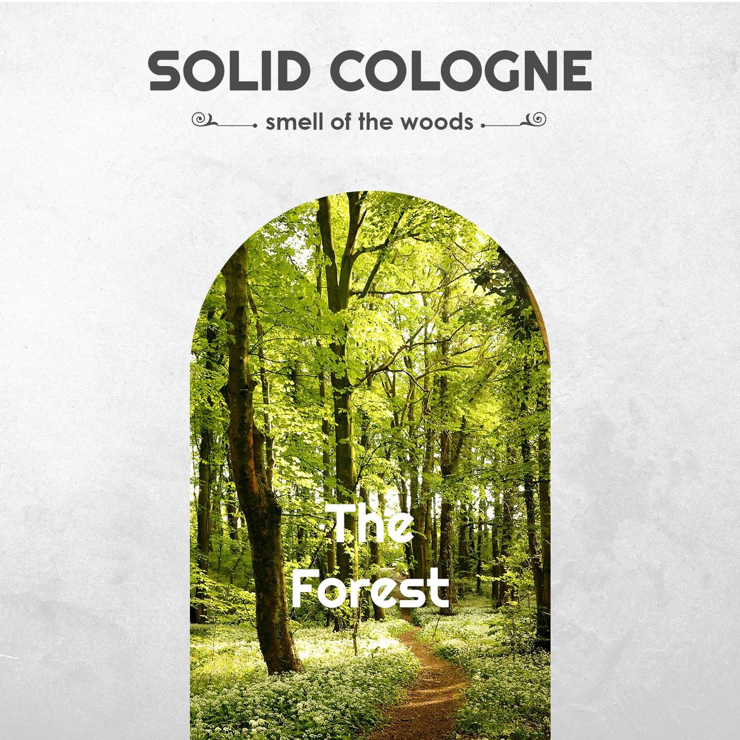 Solid Cologne Sample Set of 3 with Cedarwood Blend, Lumberjack and Aspen Solid Cologne - Mens fragrance Sampler Set - (The Forest - 3 Pack - 0.75 oz each)