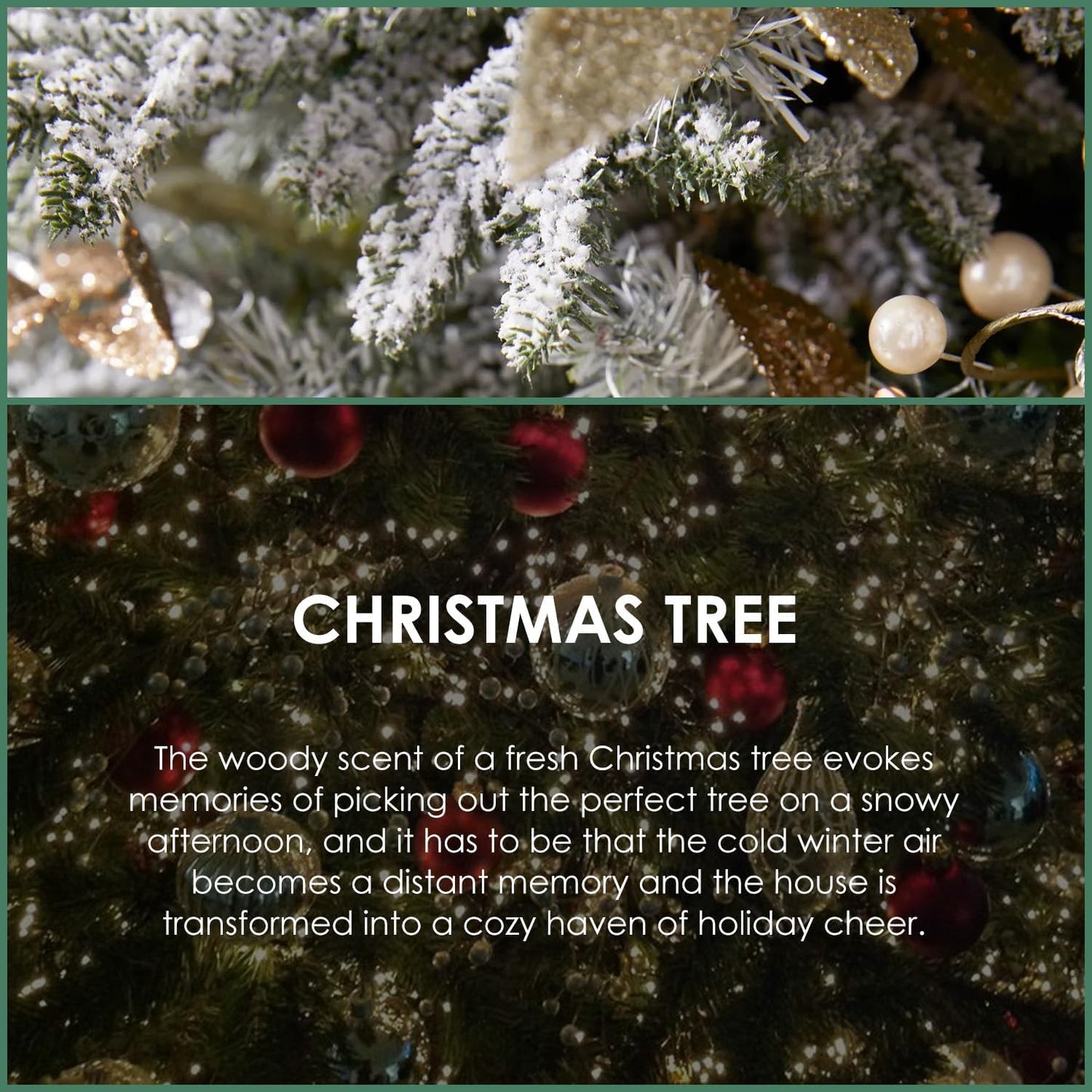 SALUBRITO Christmas Tree Essential Oil 4 Fl.Oz (120ml), Pure & Natural Fragrance Oils, Winter Essential Oil for Diffuser, Candle & Soap Making, Strong Scented Oil & Diffuser Oil