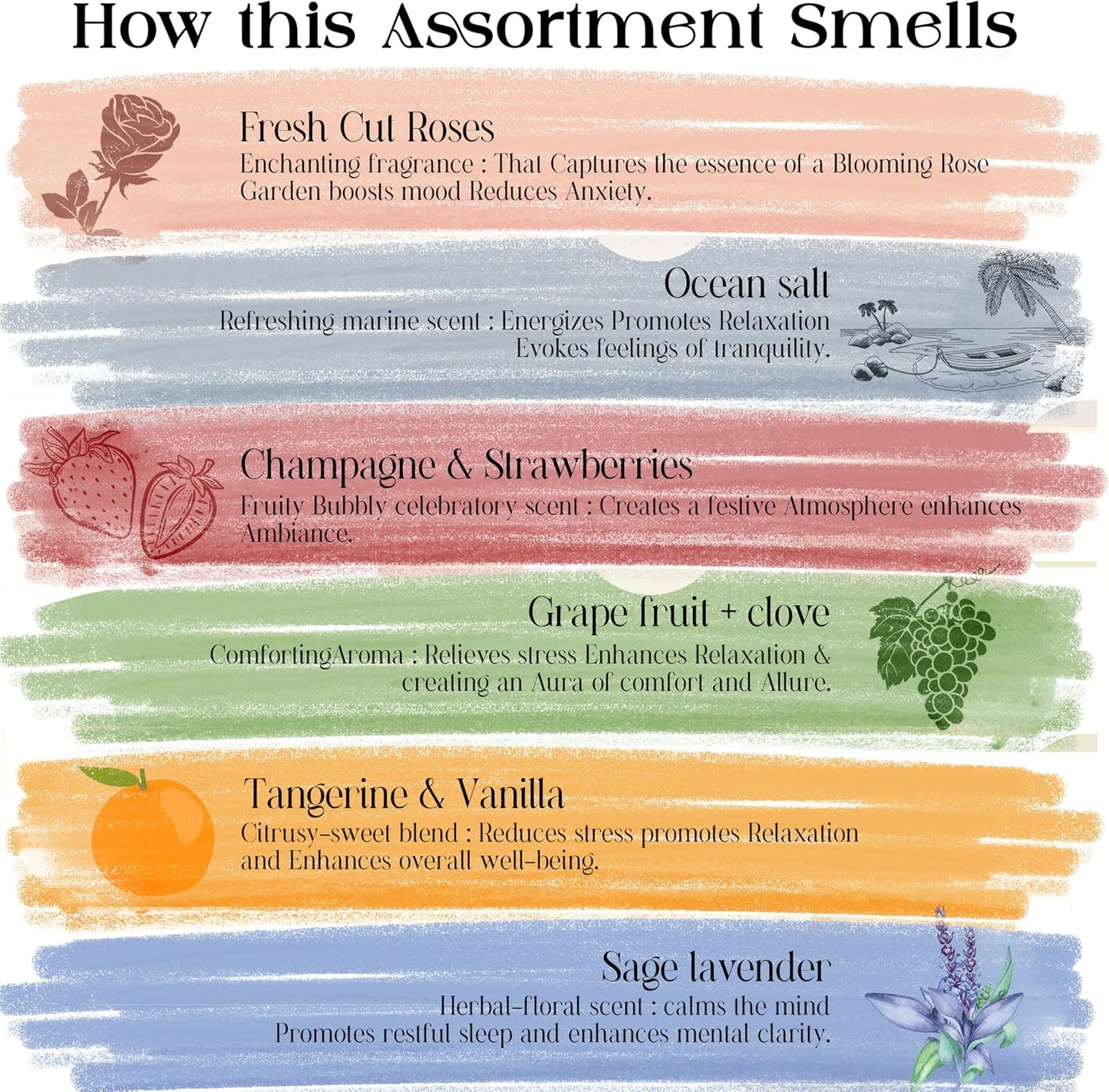 Raajsee Incense Sticks Natural, Set of 6 Organic Incents –120 Insence-Sticks with Holder– Aromatherapy Gifts, Non Toxic Clean Burning for Spiritual Cleansing – Ocean Salt, Grape Fruit Clove, Sage