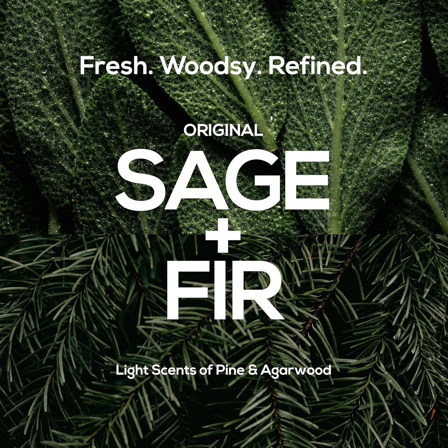 MARLOWE. No. 102 Body Scrub Soap 7 oz (12 Bars), Exfoliating Soap Bar with Shea Butter, Olive Oil & Green Tea Extracts, Cleanses, Smooths & Revitalizes Skin, Original Sage & Fir Scent